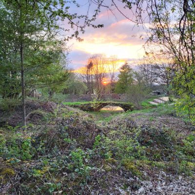 Coucher de soleil sur la forêt