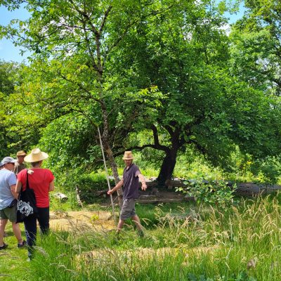 Visite de la forêt