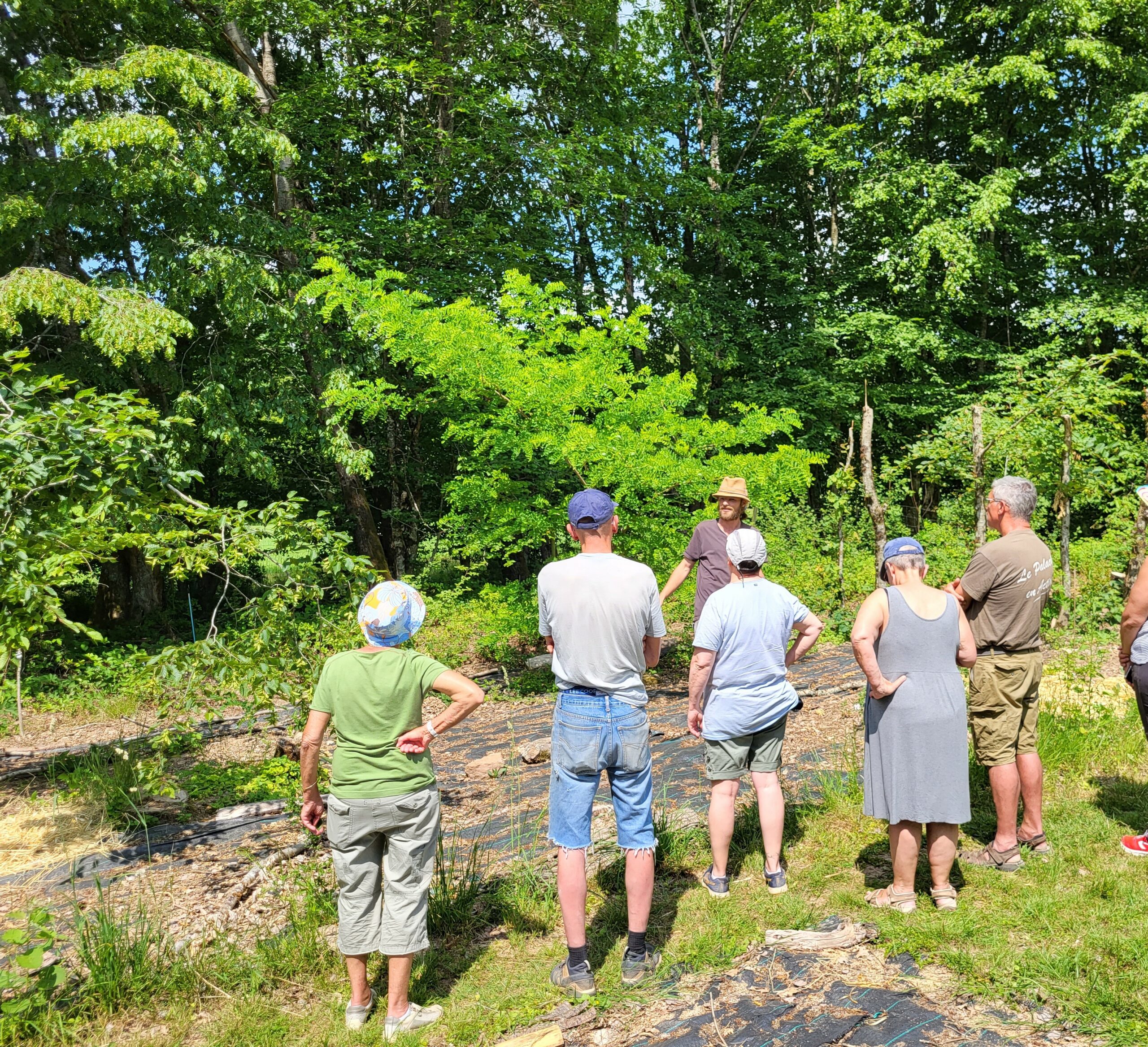 Visite de l'agro-forêt