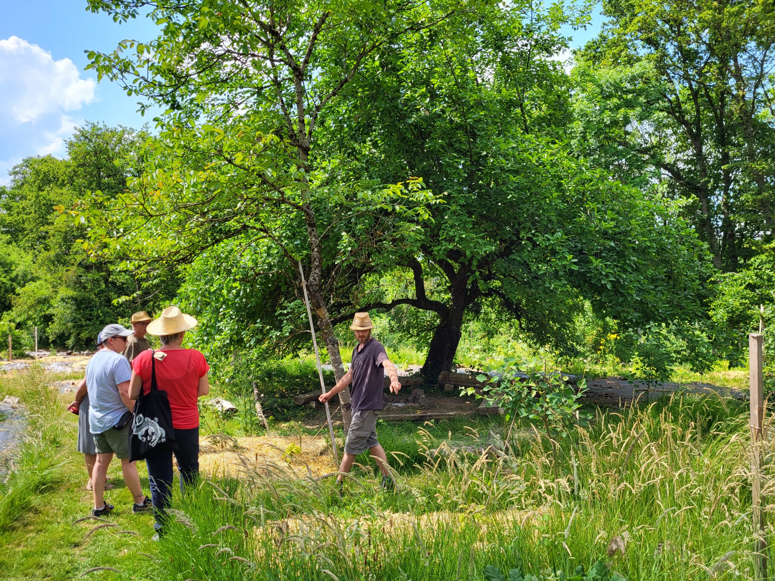 Visite de la forêt