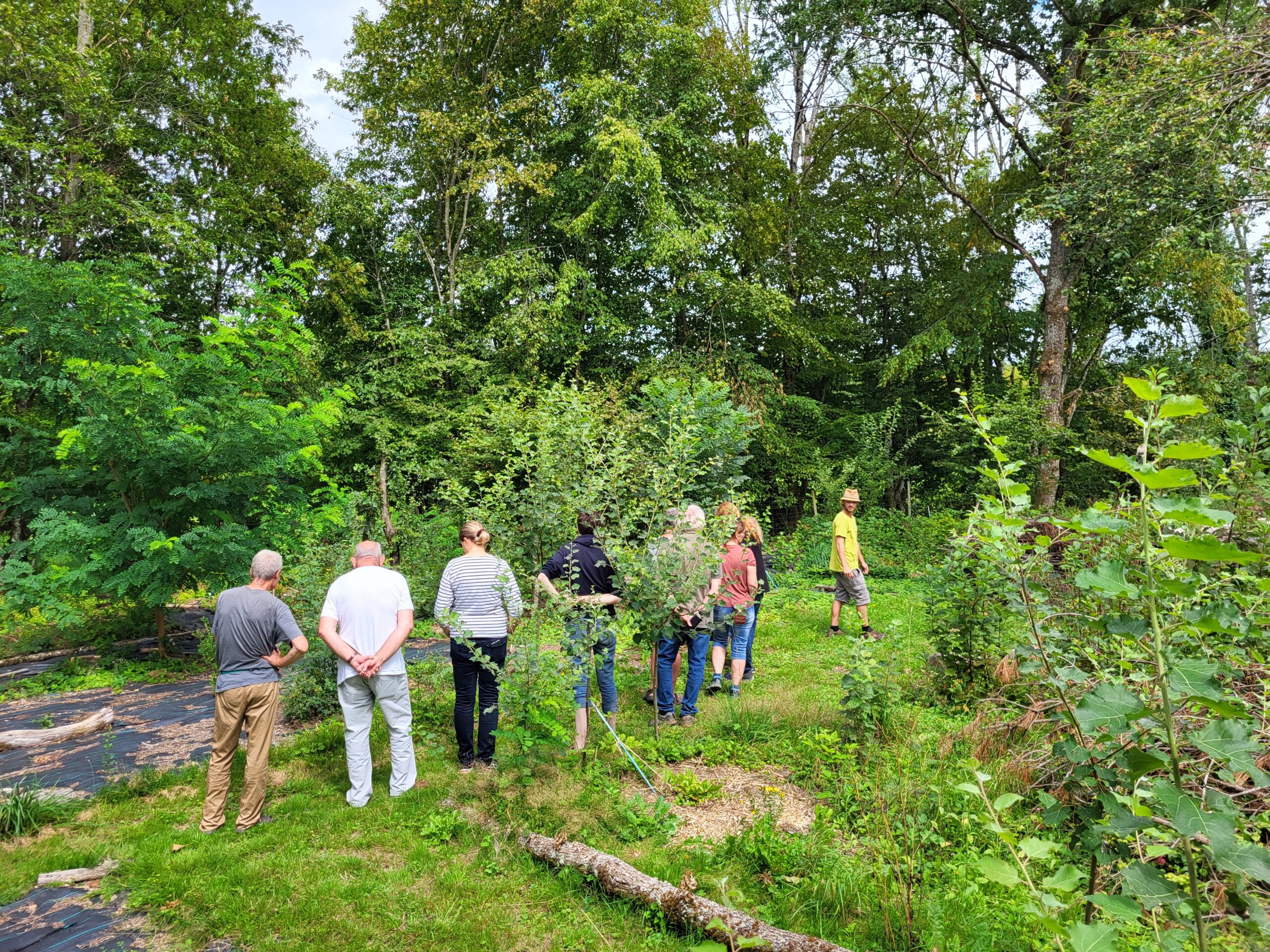 Visite de l'agro-forêt