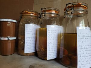 Déclinaison de nèfles